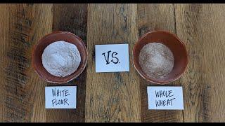 What's the Difference Between Whole Wheat Flour & White Flour?