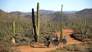 A silent journey on the Baja Divide