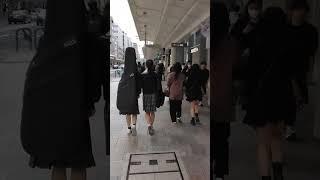 Beautiful School Girls at Kyoto|Japan Insight|ytshorts