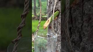 Survival Skills: Simple Mom’s Skill AMAZING #survival #outdoors #shorts #camping #bushcraft #useful