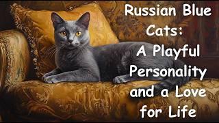 Russian Blue Cats: a Playful Personality and a Love for Life - English