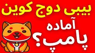 بیبی دوج کوین آماده پرواز | تحلیل بیبی دوج کوین