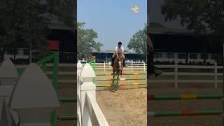 Horse Riding Competitions in Myanmar 