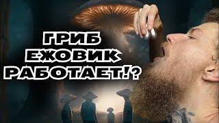 ЕЖОВИК ГРЕБЕНЧАТЫЙ MUST HAVE ДЛЯ ТЕБЯ | КАК Я ВОССТАНОВИЛ СВОИ НЕРВЫ!? МОЙ ОПЫТ ПРИМЕНЕНИЯ