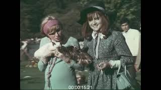 Hippy, Bohemian and Eccentric Fashion in Hyde Park, 1960s - Archive Film Huntley 1063011