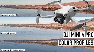 DJI MINI 4 PRO Color Profiles: Comparison D-LOG M, HLG, & NORMAL Profile