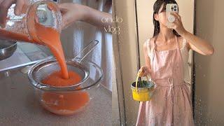 Days In My Life: Homemade Juice and Ricotta Cheese! DIY Knitted Clothes, Gimbap Recipe