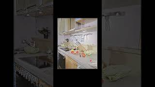 СОФИЯ РОТАРУ / МОЙ ПРОЕКТ (архив)