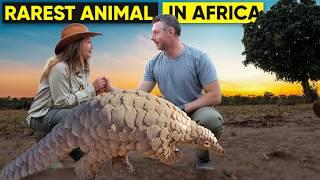 Finding the Rarest Animal in Africa