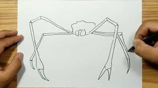 How to draw SPIDER CRAB