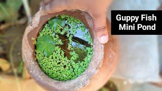 Guppy Fish pond Kaise banaye || How to make Mini Pond for Guppy Fish At home #diypond
