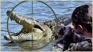 Full Video: How Do American Hunters And Farmers Deal With Million Of Wild Boar And Crocodile By Guns