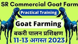 Goat Farming Practical Training बकरी पालन प्रशिक्षण हरियाणा / SR Commercial Goat Farm 99916 06387