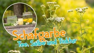 So wertvoll ist die Schafgarbe  Tee, Salbe und Tinktur  #garten #menstruation #heilpflanzen