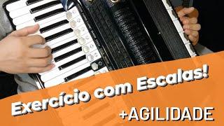 Exercício com escalas - Aula de Acordeon/Sanfona/Gaita