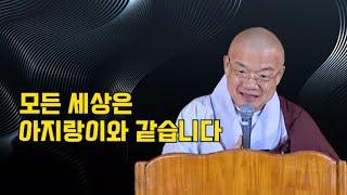 모든 세상은 아지랑이와 같습니다