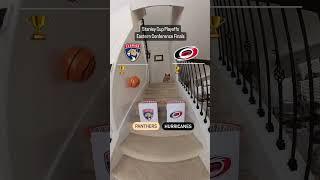 Puppy playoff predictions for the Eastern Conference Final 