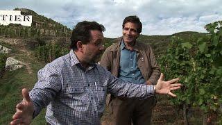 De la colline de l'Hermitage... à la table de Michel Chapoutier