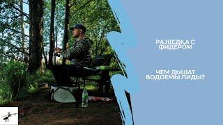 Рыбалка на фидер. Разведка новых водоемов. Чем дышат водоемы Лиды?