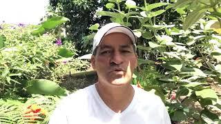 VIDEO TEST  PARA CAMBRIDGE WILBOR CUEVA