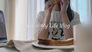 Vlog Living alone in Japan｜Weekday routine｜Cooking, reading, new sneakers｜Cat emergency kit