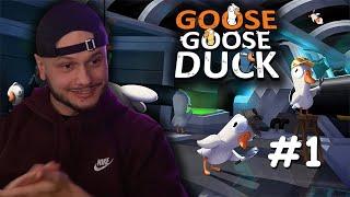 Starý hrá husy s ostatnými streamermiඞ Goose Goose Duck | #1 | 27. 11. 2024 | Astatoro