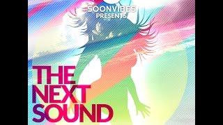 Fluever - Bosinga [The Next Sound by Soonvibes.com]