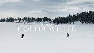 Parvaaz - Color White (Official Video)