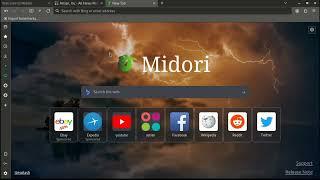 Midori Browser Privacy Statistics: Control your privacy