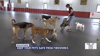 Rockford animal experts advise against bringing pets to see fireworks