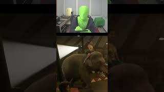 Mr. Green's Dumbo Cousins Full video#vfx #viral #movie #film #mrbeast #mrgreen