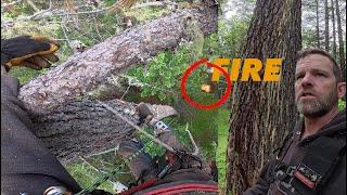 Tall & Crispy Dead - Removal and Explanation