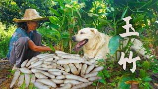 Ingredients that look like silkworm babies, which grandma uses to make delicious food｜玉林阿婆