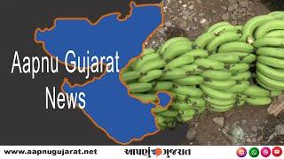 Rajkot | Aapnu Gujarat News