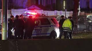 Woman Fatally Struck After Jumping out of Vehicle on the Long Island Expressway - Queens