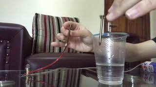 Uji Coba Elektrolit || Sri Ayu Larasati