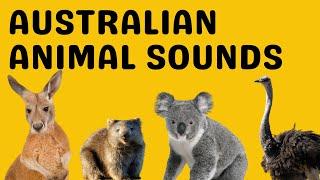 Australian Animal Sounds