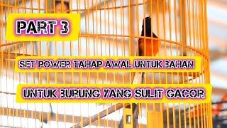 set power burung bahan yang sulit gacor dan mencari setingan jangkrik harian