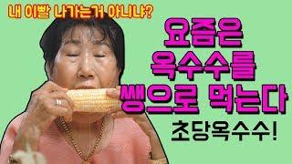 [Eng]요즘은 옥수수를 쌩으로 먹는다 (초당옥수수) [박막례 할머니]