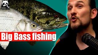 Russian Fishing 4 - Elk Lake - White Bass and Smallmouth Bass Spot