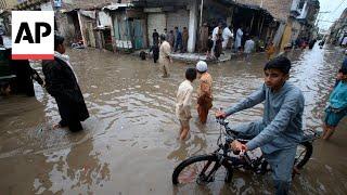 Dozens killed in Pakistan after heavy rain