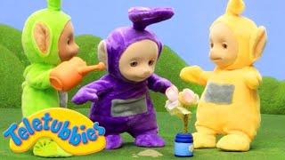 Teletubbies Full Animation  Planting Flowers  Stop Motion Series | Toy Store - Toys For Kids