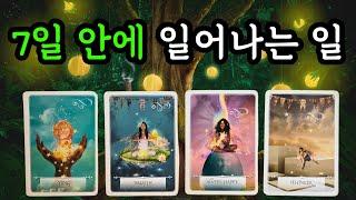 타로️ 7일 안에 일어나는 일 (5월26일~6월1일) 주간타로!