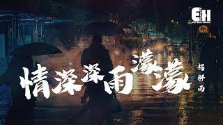 楊胖雨 - 情深深雨濛濛『世界只在你眼中，相逢不問為何匆匆。』【動態歌詞Lyrics】