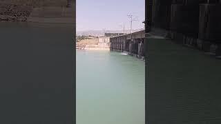 Ездил на рыбалку в Газалкент на платину, воды маловато!