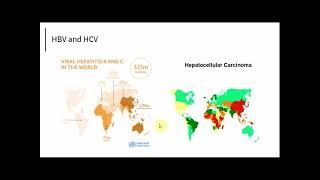 Immune responses to persistent viruses