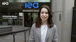 Internships at the IEA