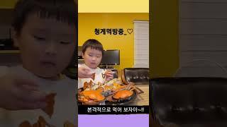 #청게먹방#키즈먹방#청게#해루질#먹방브이로그#먹방계의샛별#남해살이#남해귀촌#남해시골라이프#7세#7세먹방#해산물의신#바다사랑#해루질가자