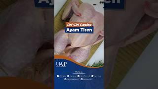 CIRI-CIRI DAGING AYAM TIREN, JANGAN SAMPAI KETIPU!!!