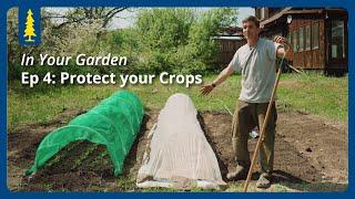In Your Garden | Ep 4: Protecting your Crops